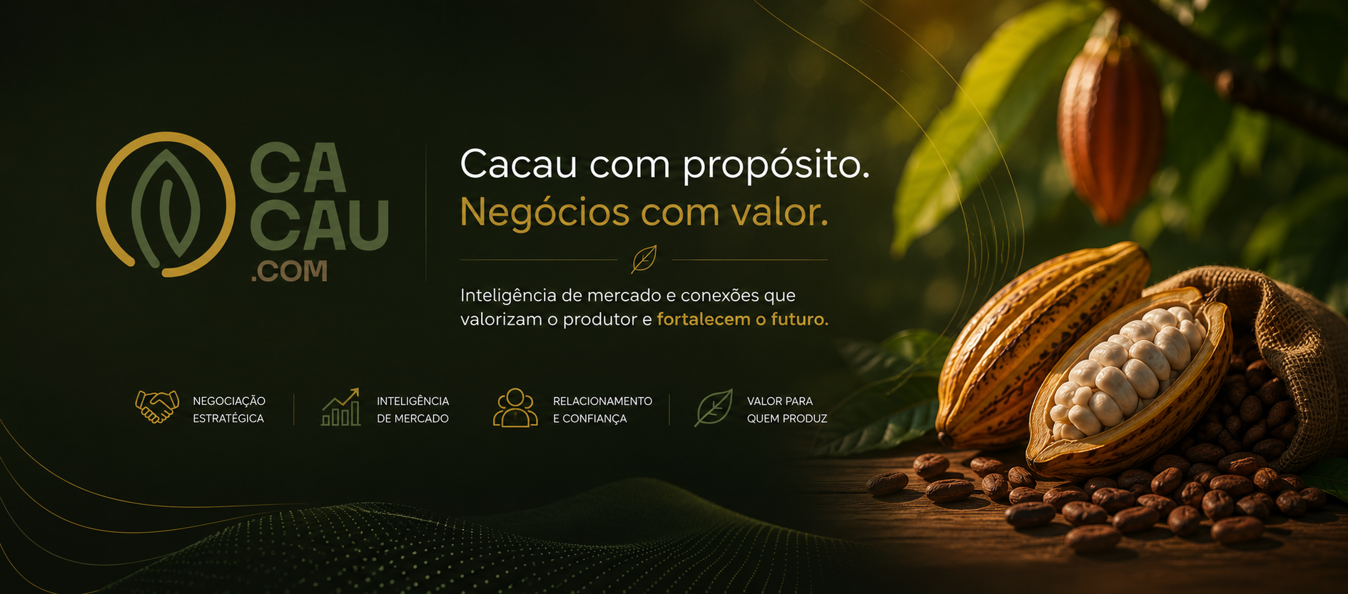 Capa de @Cacau.com